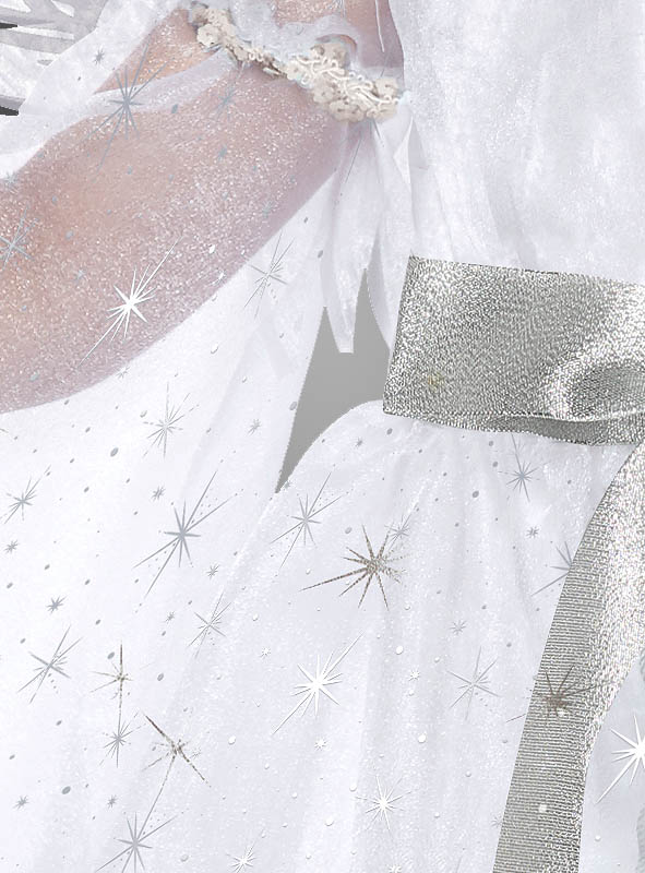 Product image 3 of the product “Starlight Angel Costume gold or silver ”