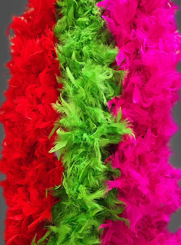 Product image 4 of the product “Feather Boa 20s different Colours ”